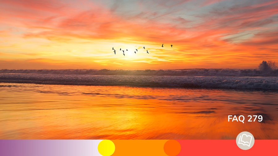 FAQ 279 Y a T Il Un Jour W