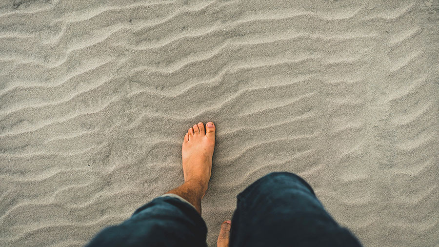 01 21 Mdm Suivre Traces Du Maitre W