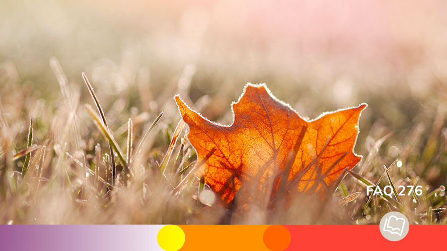 FAQ 276 Guerison Un Du W