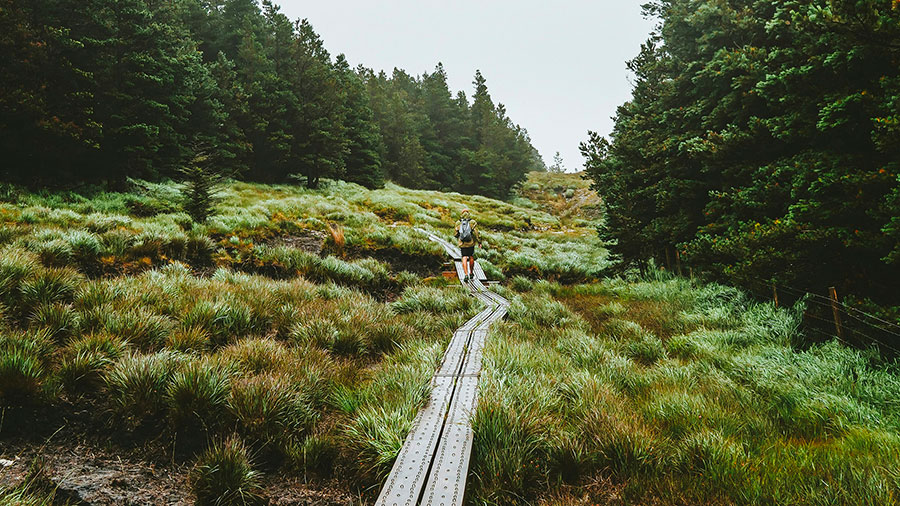 01 29 Mdm Disciples W