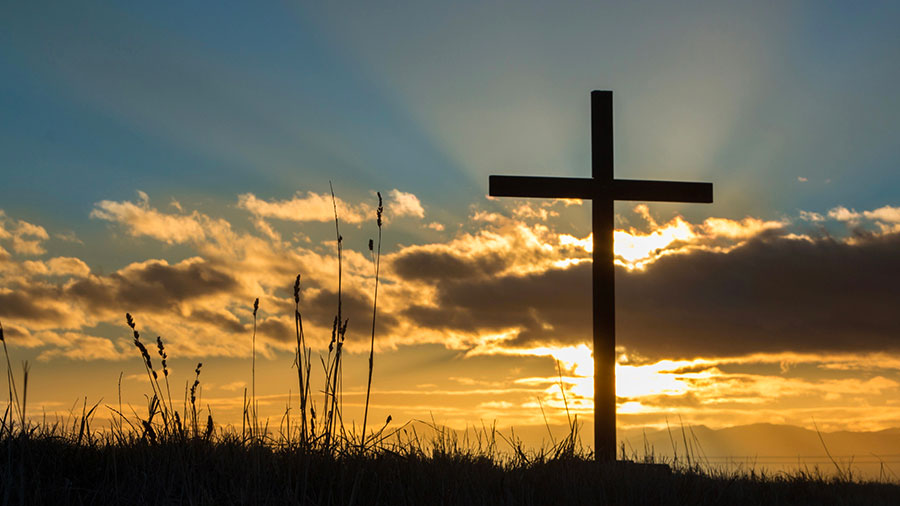 10 31 Mdm Emparons Nous De Sa Force W