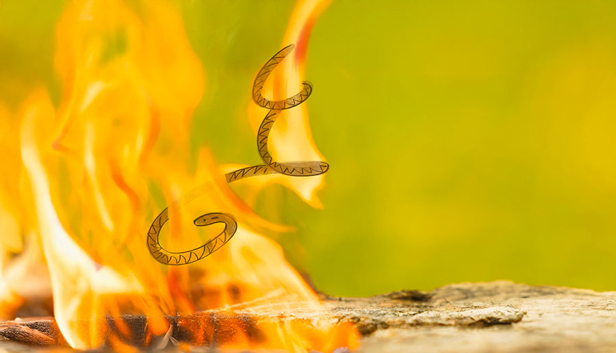 06 29 Mdm Secouant Vipere Feu W