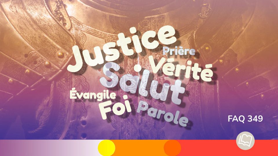 FAQ 349 Armure De Dieu W