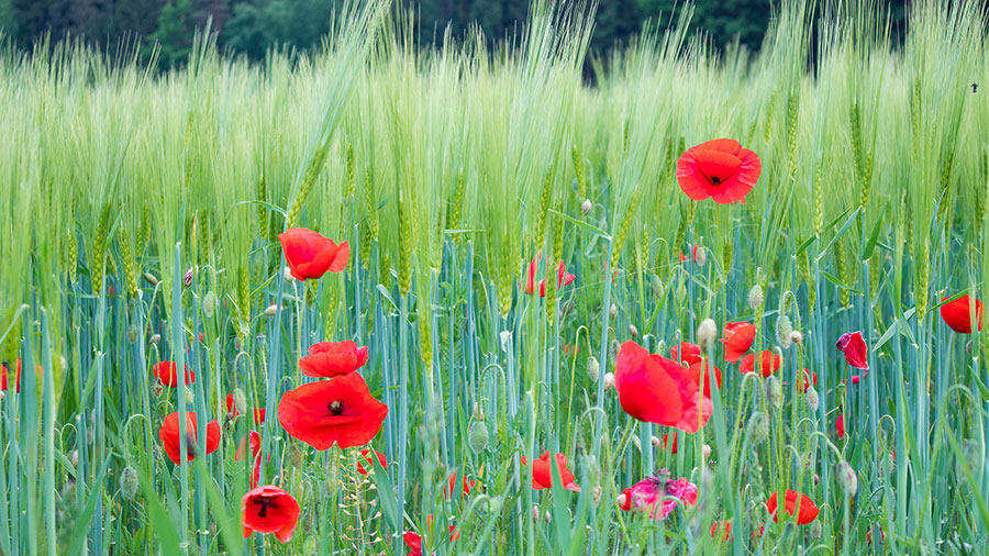 05 12 Mdm Lui Meme Prend Soin De Vous W