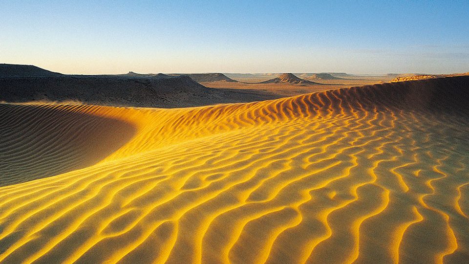 01 23 Mdm Desert Vous Enferme W