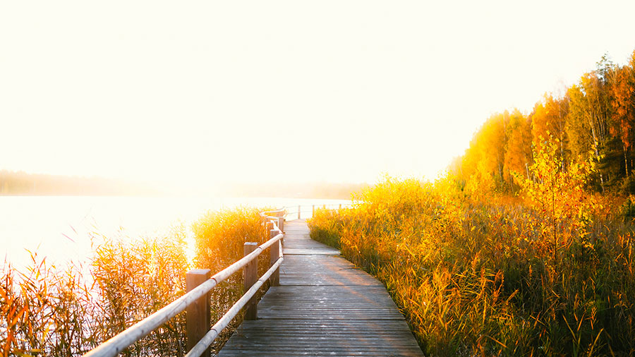 04 29 Mdm Sentier Vie W