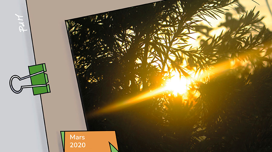 03p La Force De L Amour W