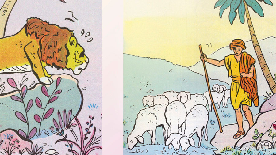 David Face Au Lion W