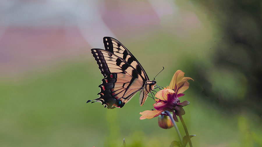 06 17 Mdm Priere Vie Esprit W