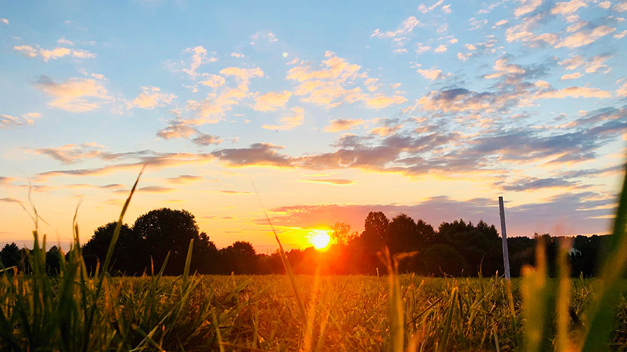 08 27 Mdm Oeuvres Manifestees W