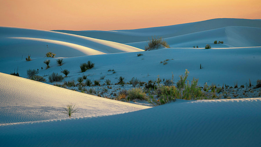 01 18 Mdm Face Difficulte W