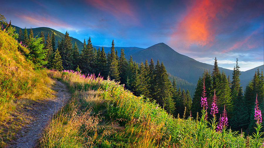 07 11 Mdm Quitter Chemin Etroit W