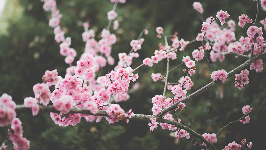 Histoire De Confiance W