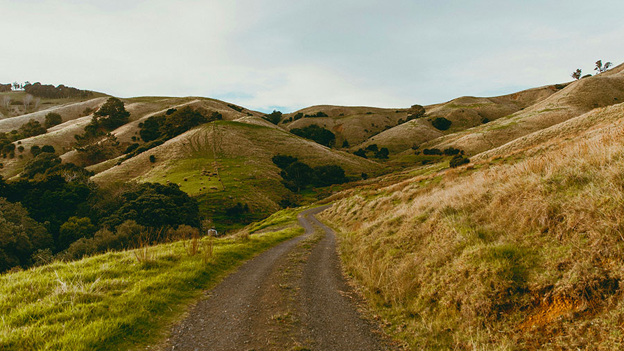 05 13 Mdm Un Chemin Nouveau W