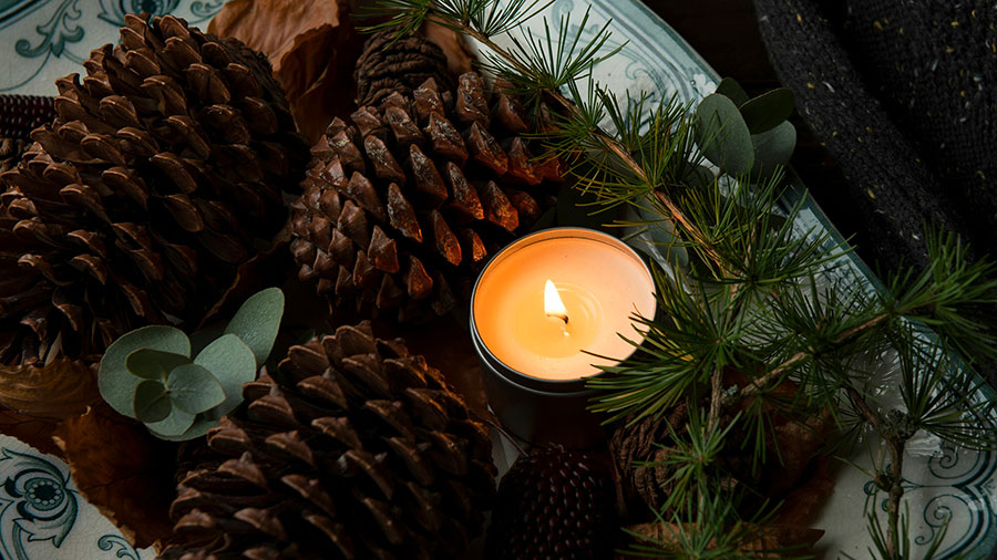 12 19 Mdm Soyons Pas Ebranles W