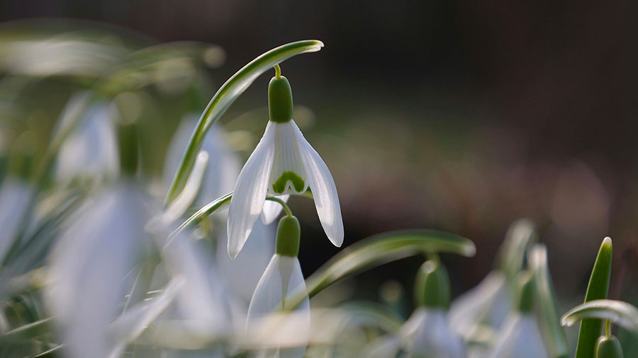 02 03 Mdm Encouragez Vous En Dieu%20 W