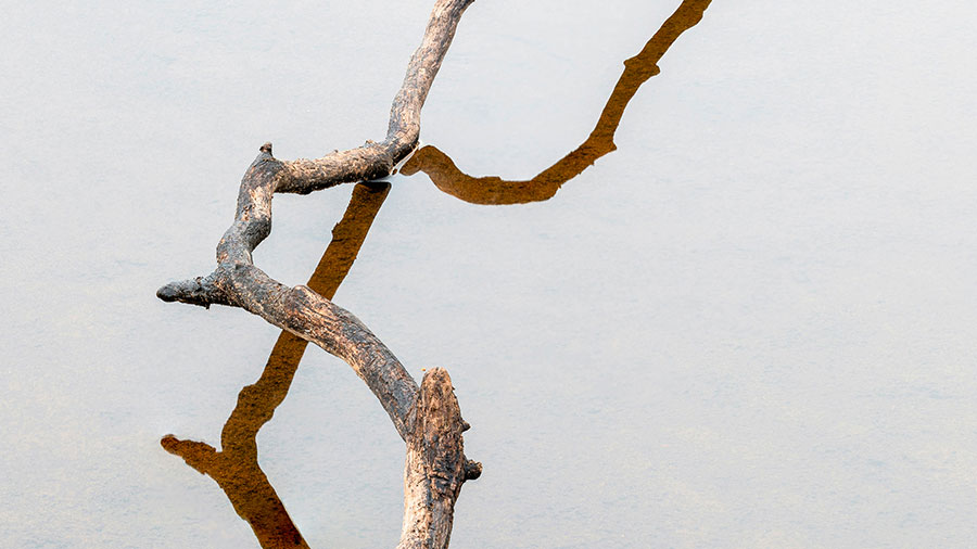 07 15 Mdm Amertume W