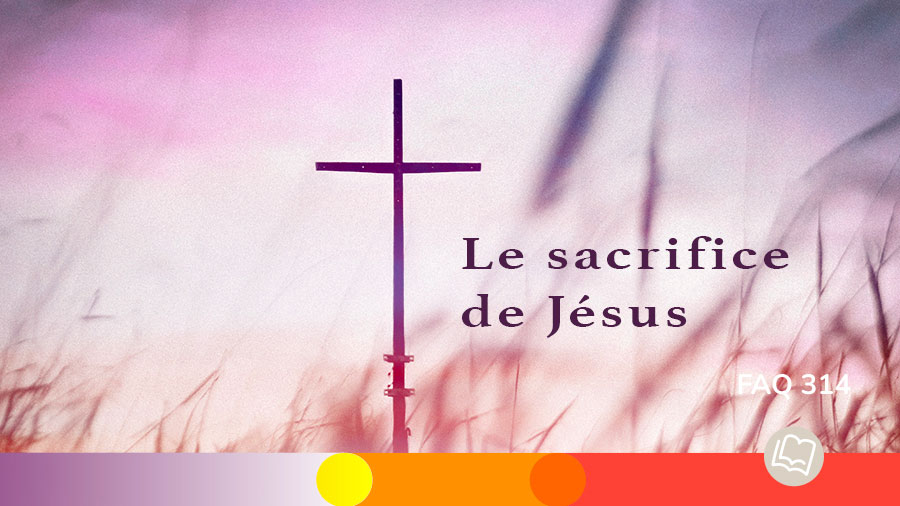 FAQ 314 Sacrifice De Jesus W