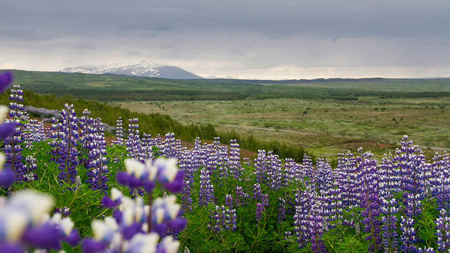 03 29 Mdm Priere Exaucee W