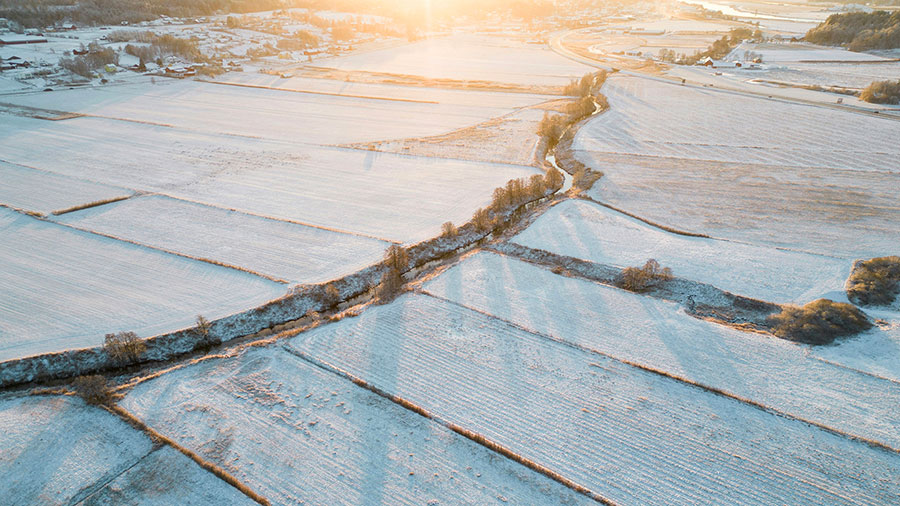 12 31 Mdm Seigneur W