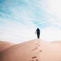 12 Un Monde En Decadence W