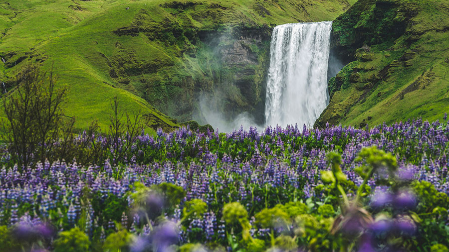 04 22 Mdm Soyez Sources Eau Vive W