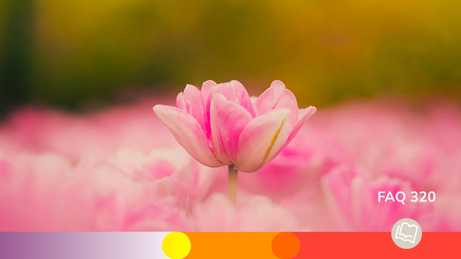 FAQ 320 Le Salut Une Oeuvre Divine W