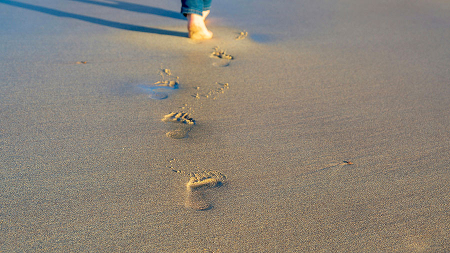 06 19 Mdm Qui Dites Vous Que Je Suis W