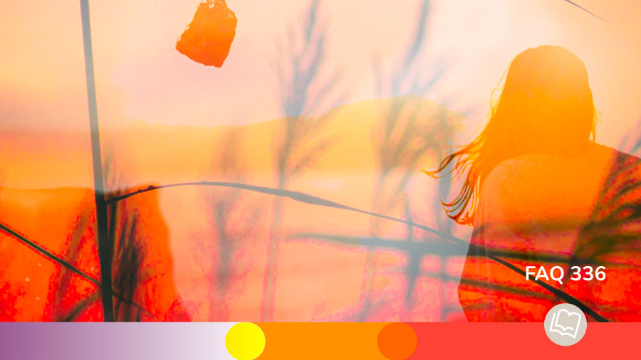 FAQ 336 Femme Adultere Pardonnee W