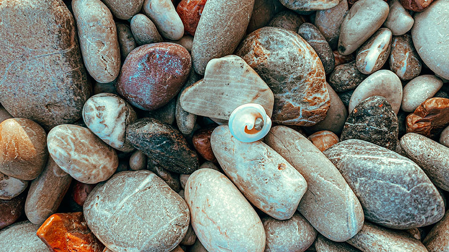 08 20 Mdm Pierres Vivantes W