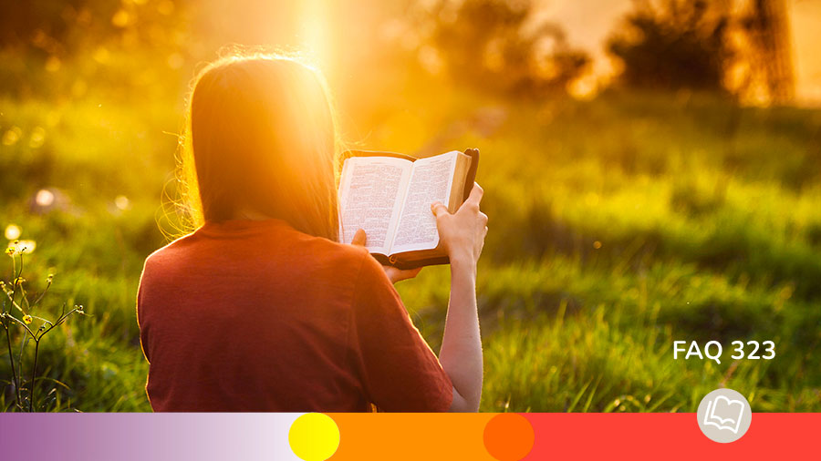 FAQ 323 Une Rencontre Veritable W