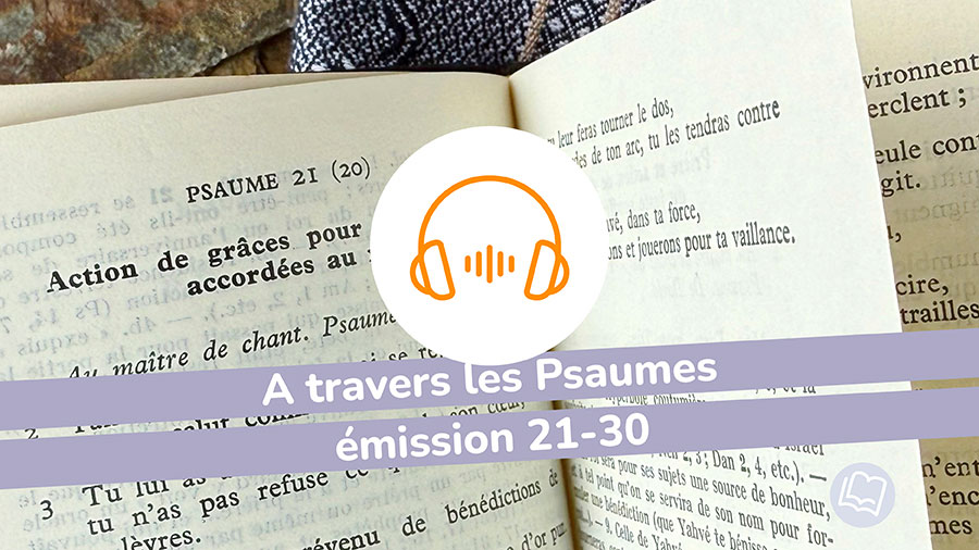 Dd Psaumes 21 30 W