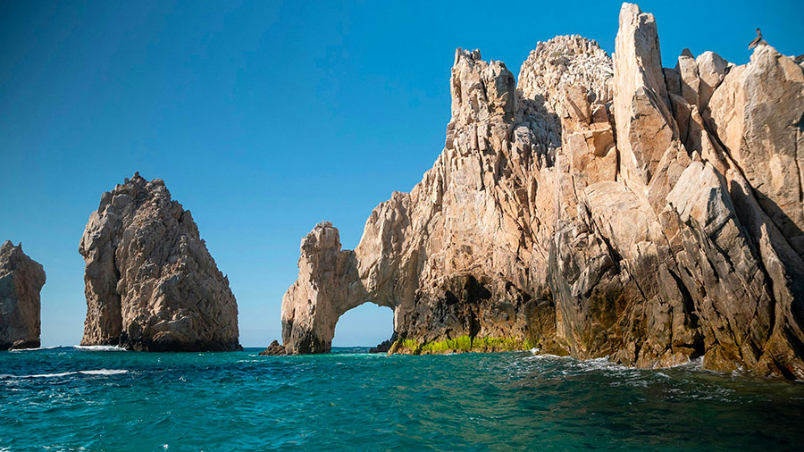 07 21 Mdm Marcher En Nouveaute De Vie W