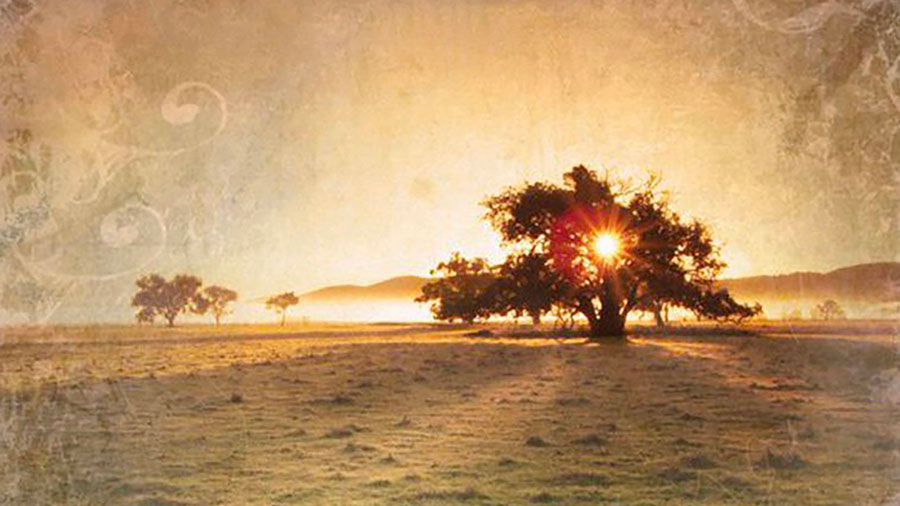 Promesses Nancy Seauve W