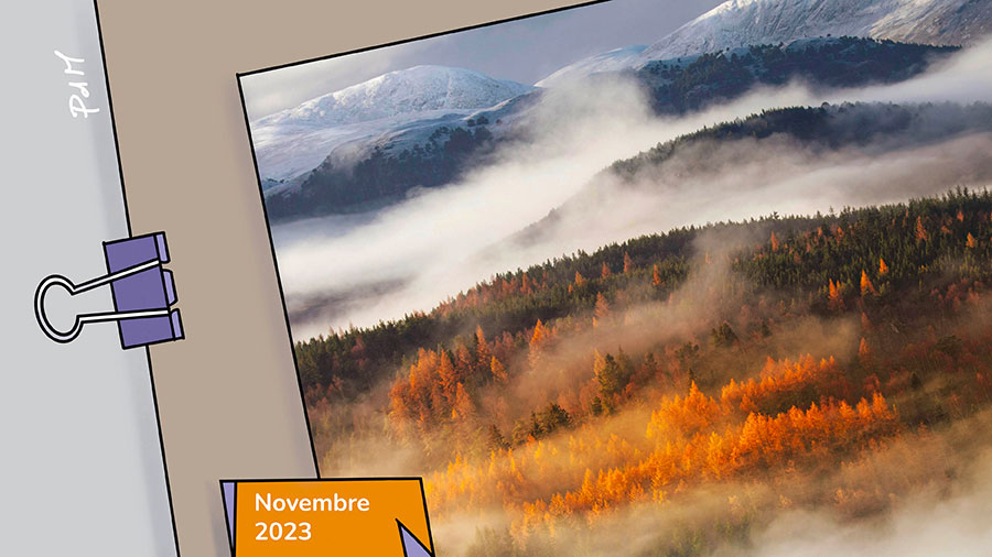 11p Automne Melancolie W