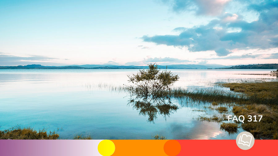 FAQ 317 Pensee Eternite W