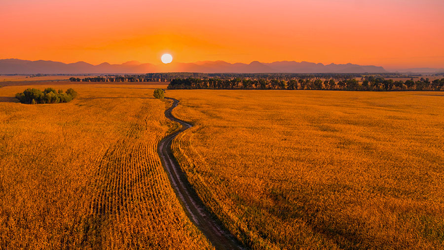 10 29 Mdm Sang De Jesus W