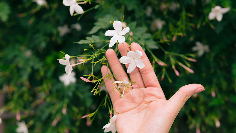 04 12 Mdm Prier Pour Toi W