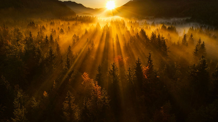 10 28 Mdm Trouver Trone Grace W