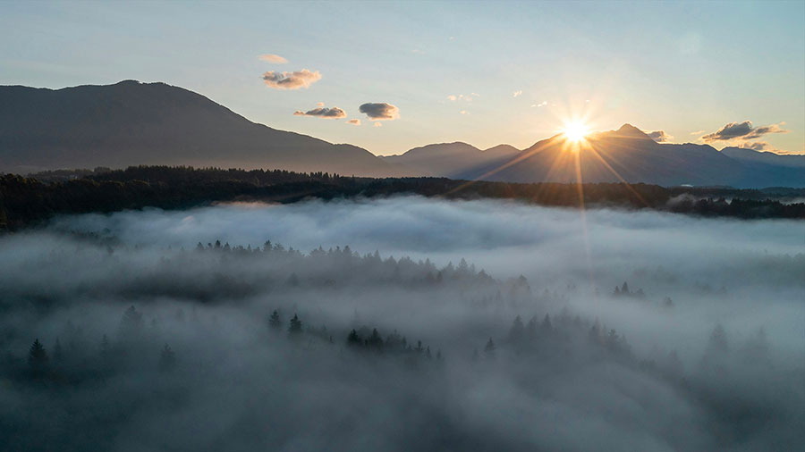 06 04 Mdm Consolateur W