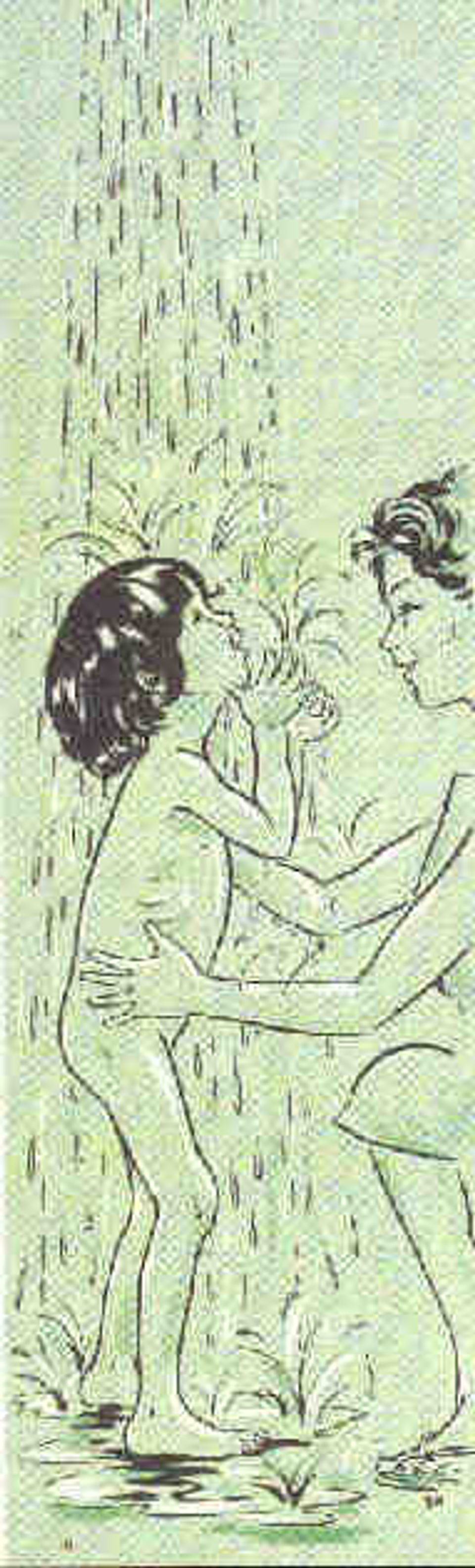 Aracy9