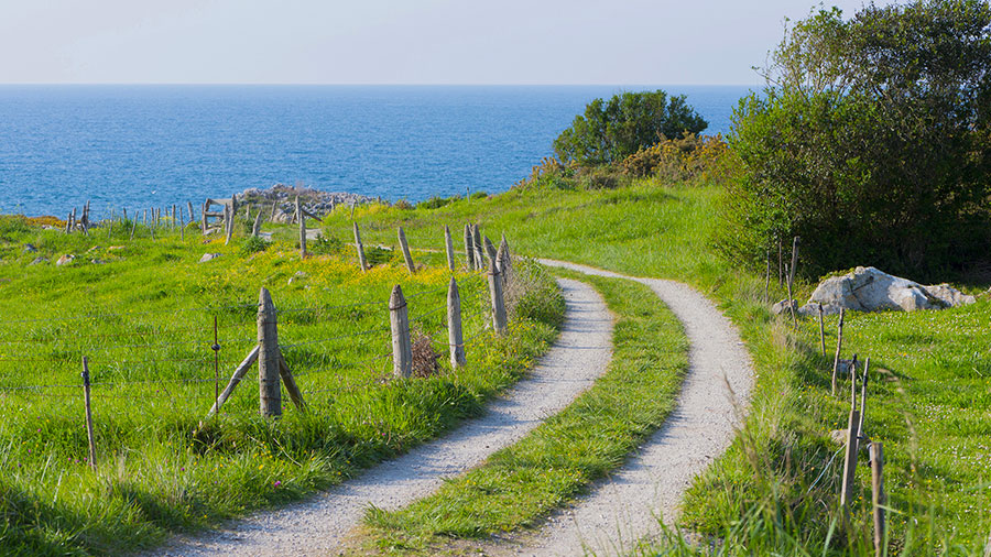 07 05 Mdm Sentier Des Justes W