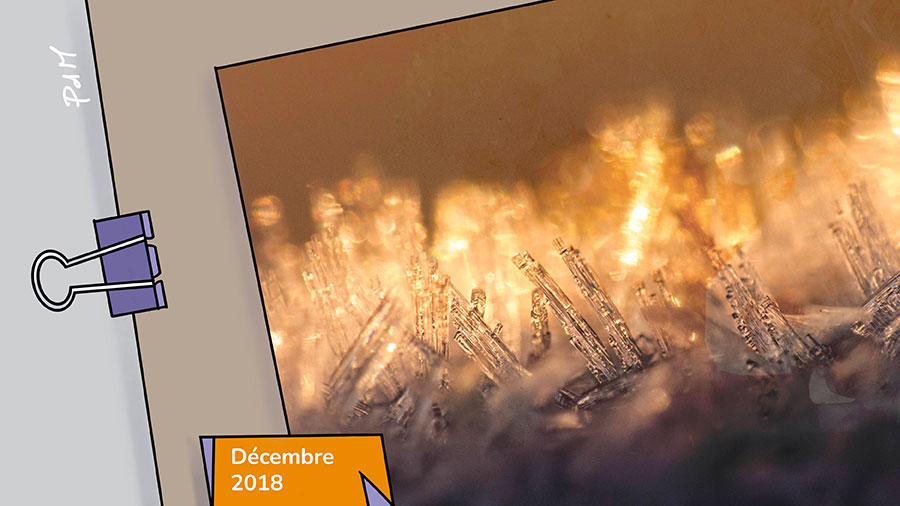 12p Lumiere Transparence W