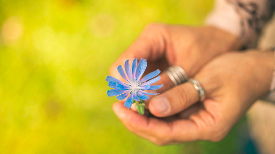 02 25 Mdm Je Crois Seigneur W