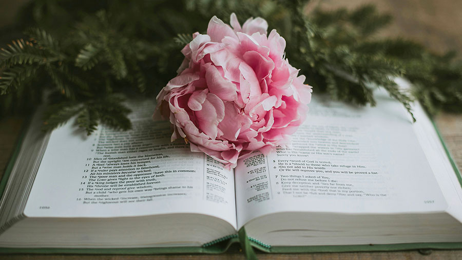 02 08 Mdm Dieu Envoie Sa Parole W