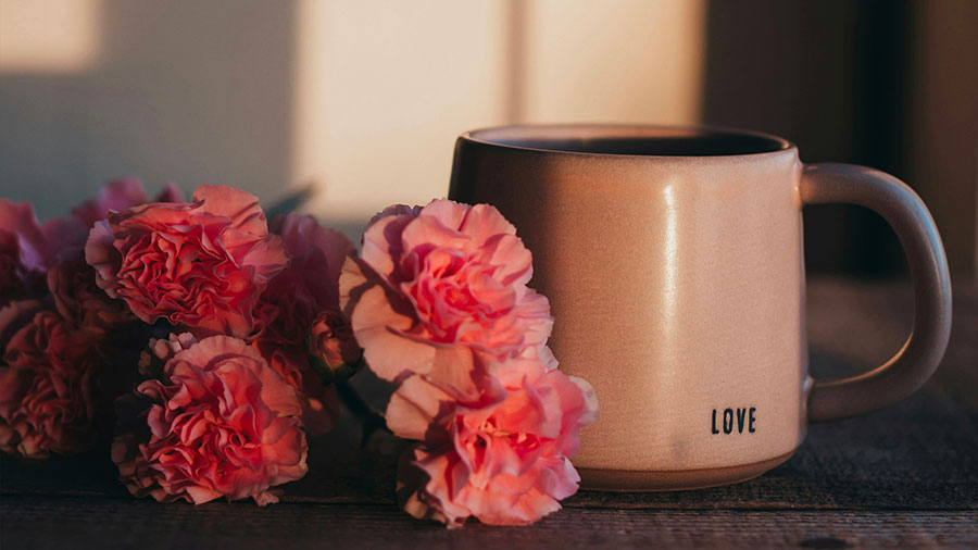 12 30 Mdm Il Les Aima W