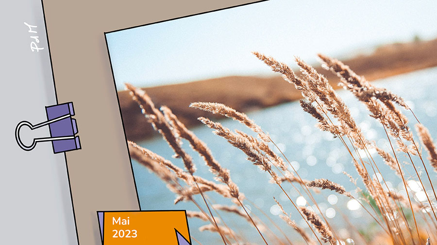 05p Accueillir Le Vent W