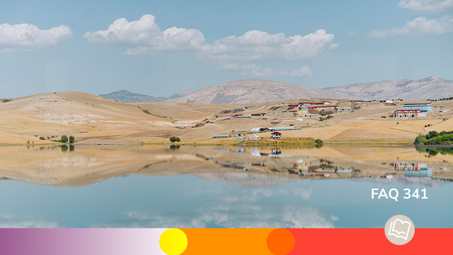 FAQ 341 N Allez Pas De Maison En Maison W