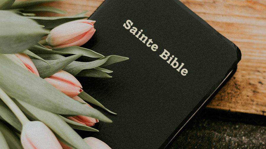 02 12 Mdm Amour De Christ W