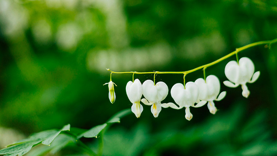 05 10 Mdm Sa Parole Dans Notre Coeur W